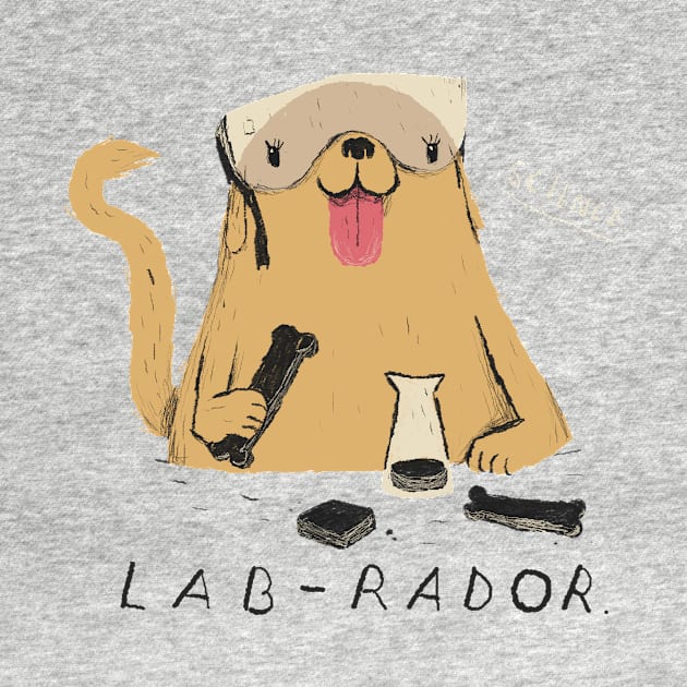 Labrador by Louisros
